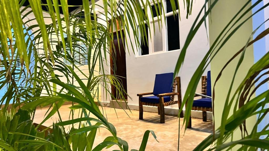 Blue cushioned chairs set among palm planting