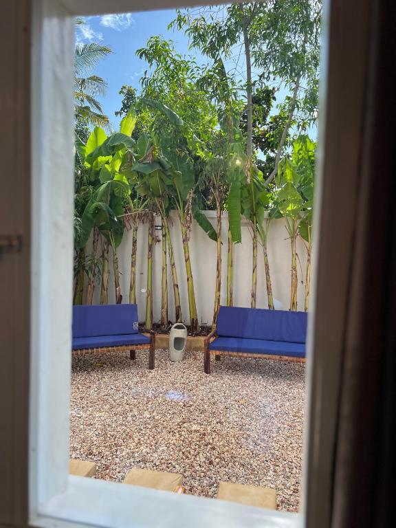 Blue garden chairs seen through an open doorway