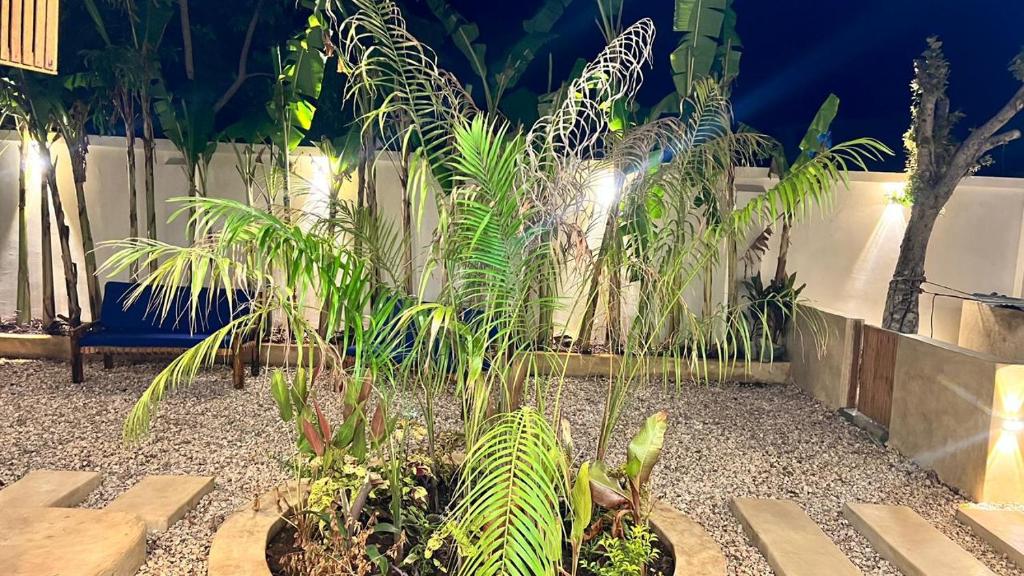 Dense tropical planting lit at night