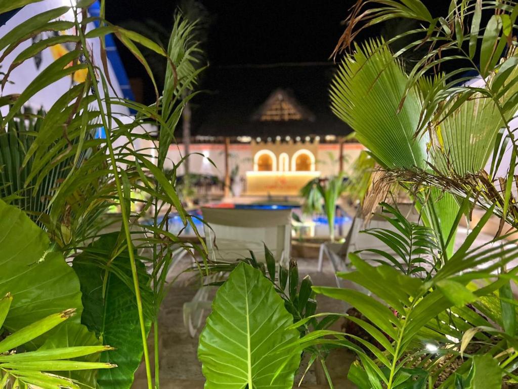 Palm planting with the lit thatch building behind