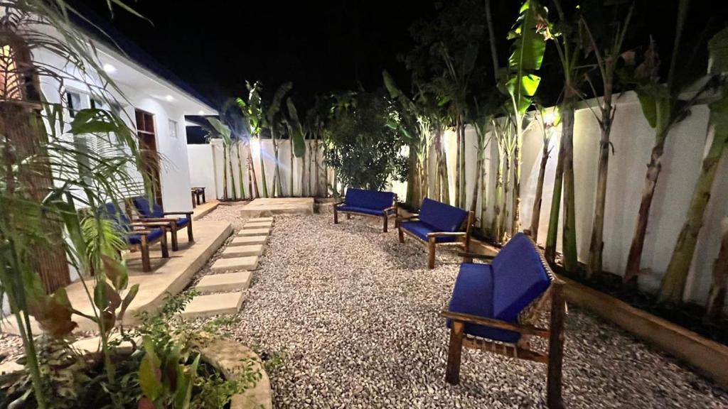 Blue garden chairs along a path at night