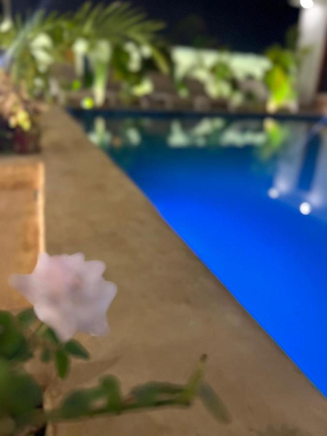 A flower in soft focus beside the lit pool at night