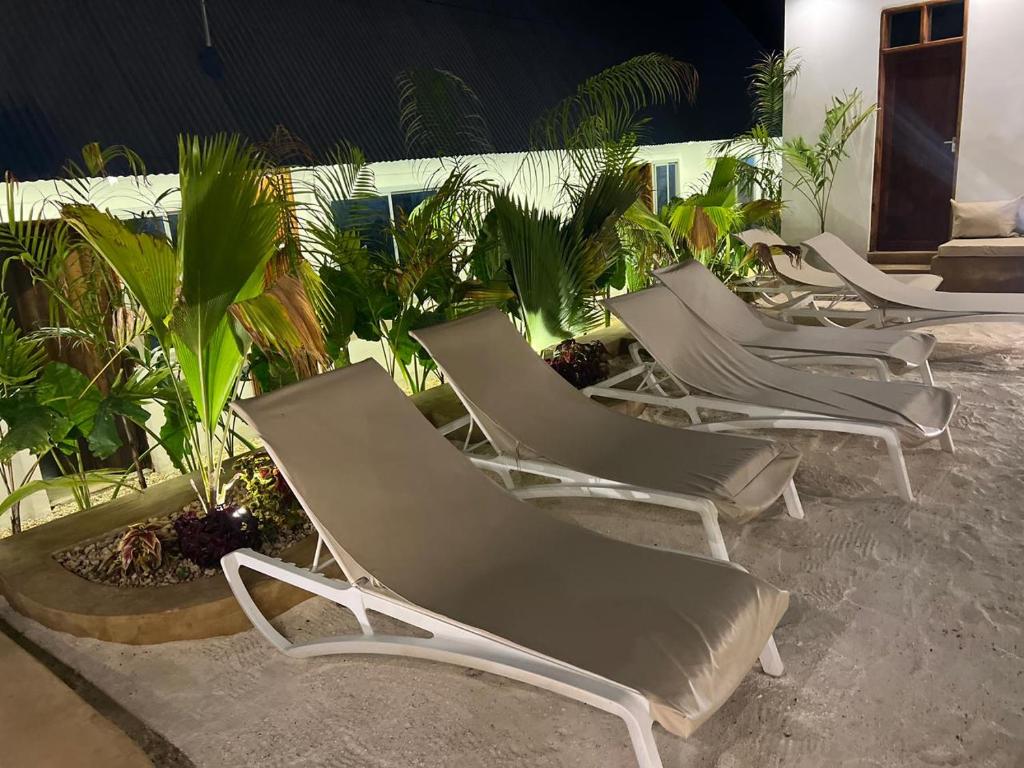 Sun loungers beside the planted border at night