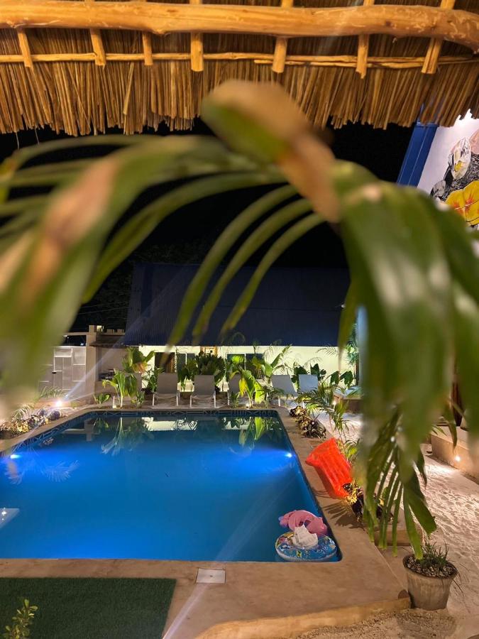 The swimming pool glowing blue at night, seen through palm fronds